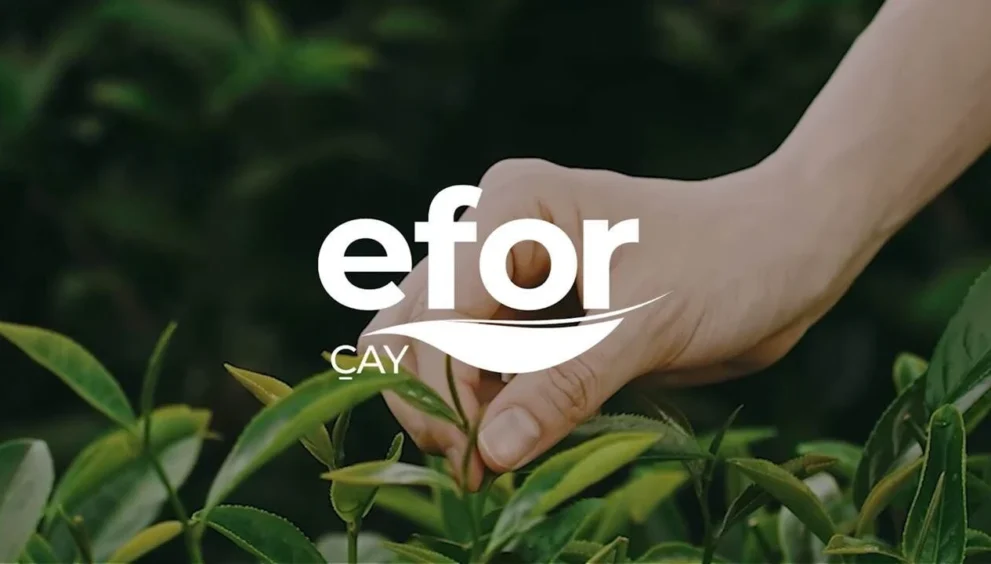 Efor Yatırım (EFOR)